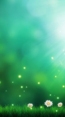 Natura Verde con Margherite - wallpaper preview
