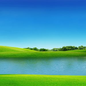 Paesaggio Verde Serene