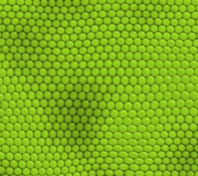 Pattern Esagonale Verde