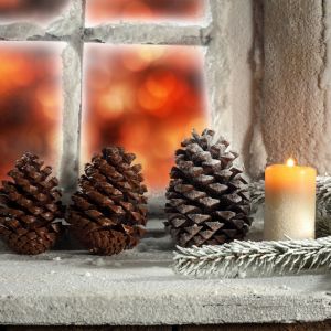 Pigne di Natale e Candela