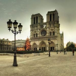Cattedrale di Notre Dame a Natale