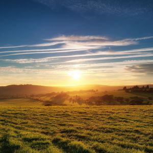 Tramonto sui Colli
