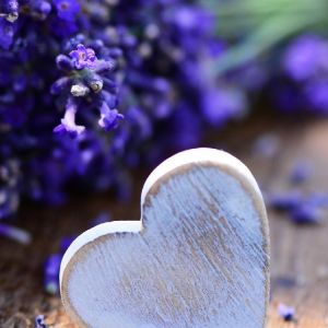 Cuore di Lavanda