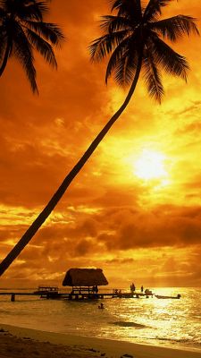 Tramonto tropicale sul mare - wallpaper preview