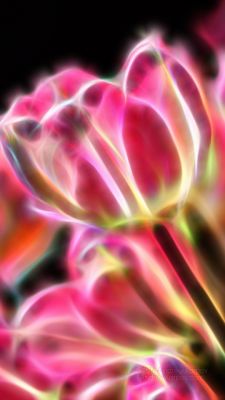 Arte Floreale Astratto Vivace - wallpaper preview