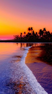 Tramonto tropicale sull'oceano