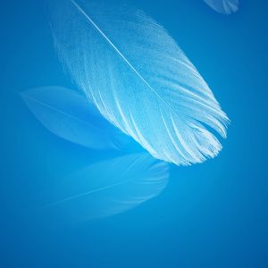 Sfondo Astratto con Piuma Blu