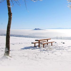 Paesaggio Innevato con Panchina