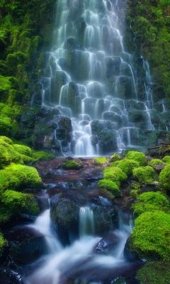 Cascata Serene nella Natura