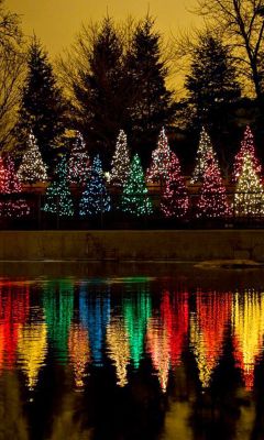 Alberi di Natale Colorati Riflessi