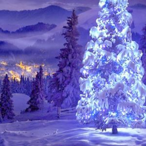 Albero di Natale in un Paesaggio Invernale