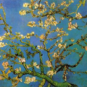 Fiore di Mandorlo di Vincent van Gogh