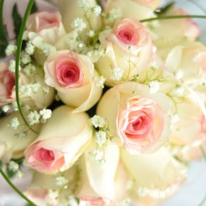 Bellissimo Mazzo di Rose Rosa