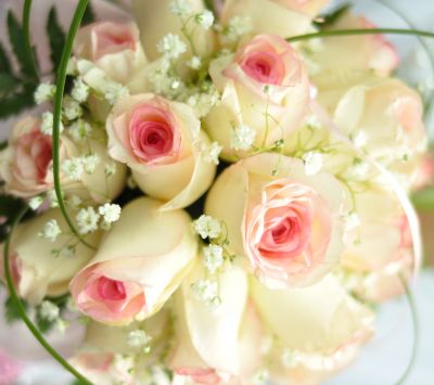 Bellissimo mazzo di rose rosa - wallpaper preview