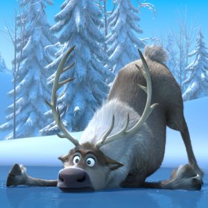 Renne Divertente in Inverno