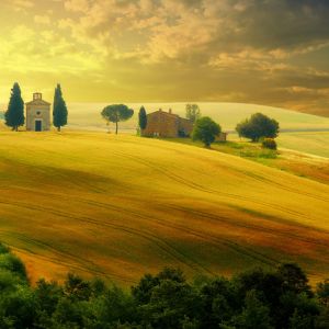 Paesaggio delle Colline Dorate