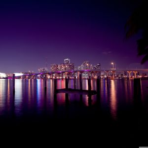 Skyline Notturna di Miami