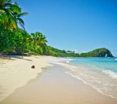 Paradiso della Spiaggia Tropicale