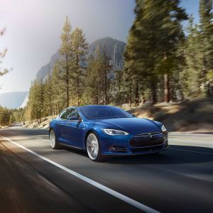 Tesla Model S nella Natura