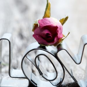 Decorazione Amore con Rosa