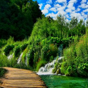 Paesaggio di Cascata Serene
