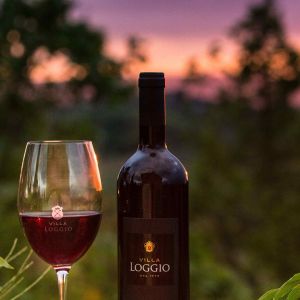 Vino Rosso e Bicchiere