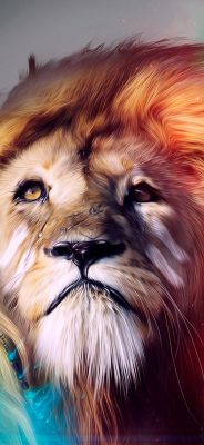 Ritratto di Leone Maestoso - wallpaper preview