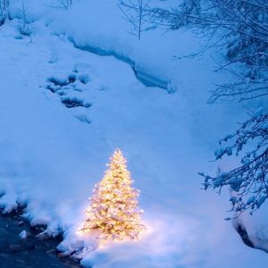 Albero di Natale Innevato