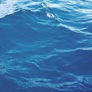 Onde Oceaniche Calme